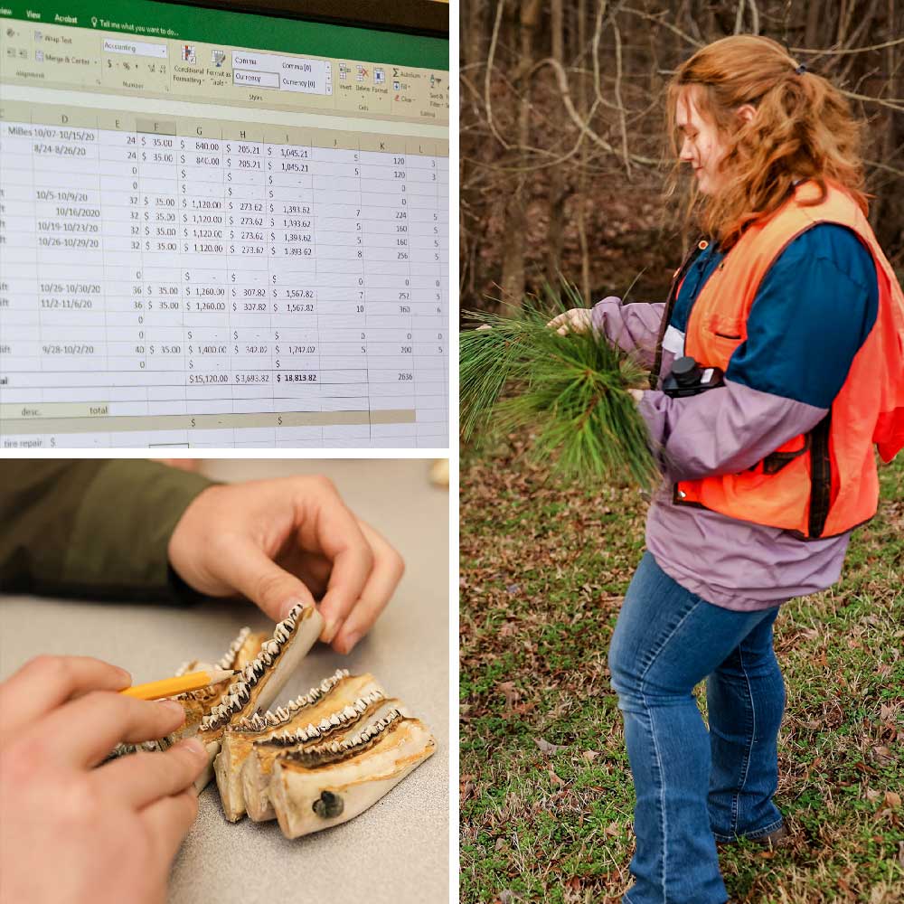 CareerTechnical Education adds three new offerings at the Goodman