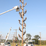 Holmes to host Electrical Lineman informational meeting in Kosciusko